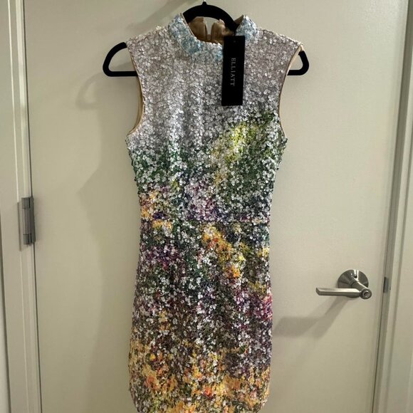 [NWT] Elliatt - Arden Shift Mini Dress in Multi Ombre - Size XS - Picture 4 of 9